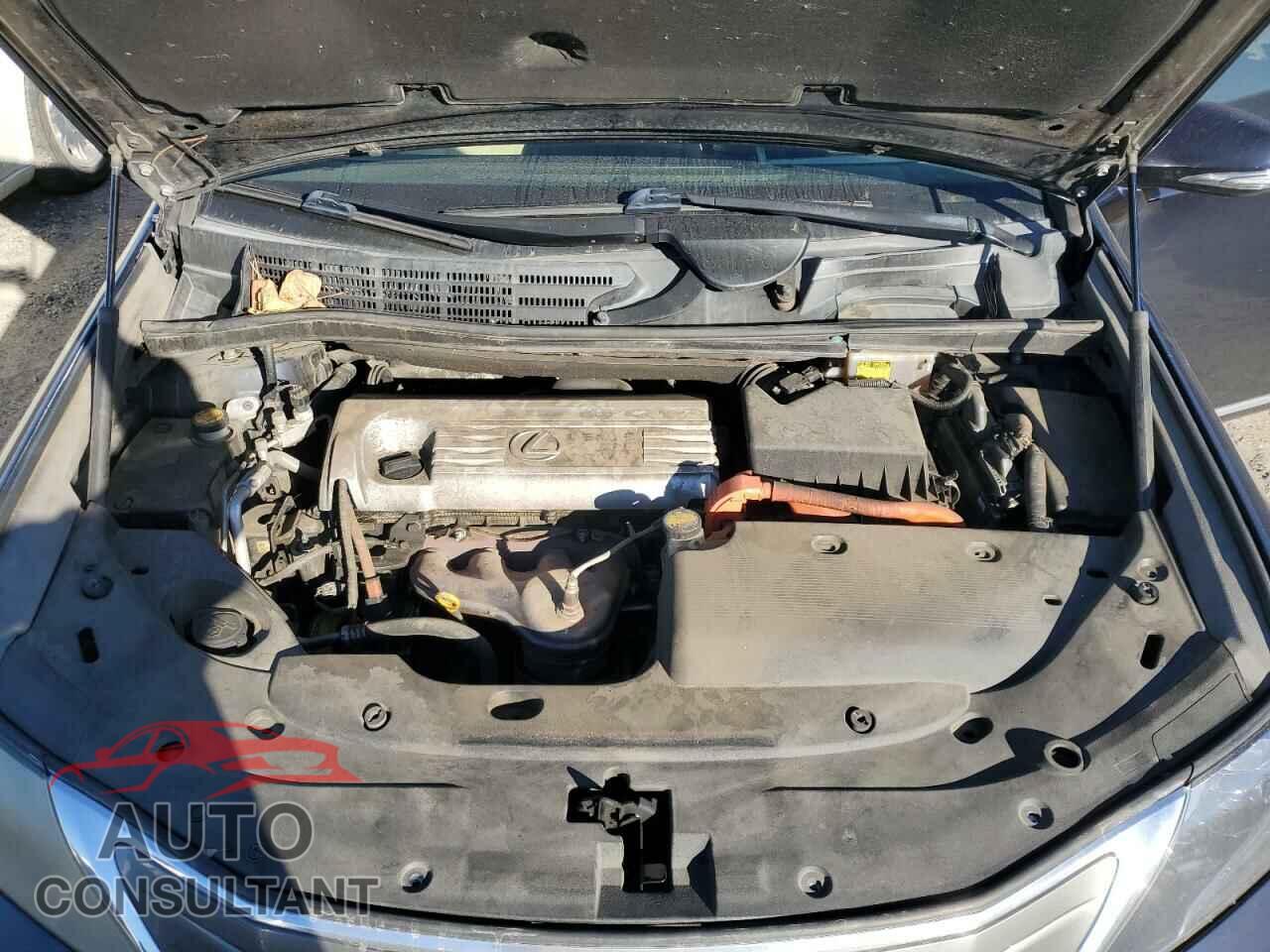 LEXUS HS 2010 - JTHBB1BA2A2005333