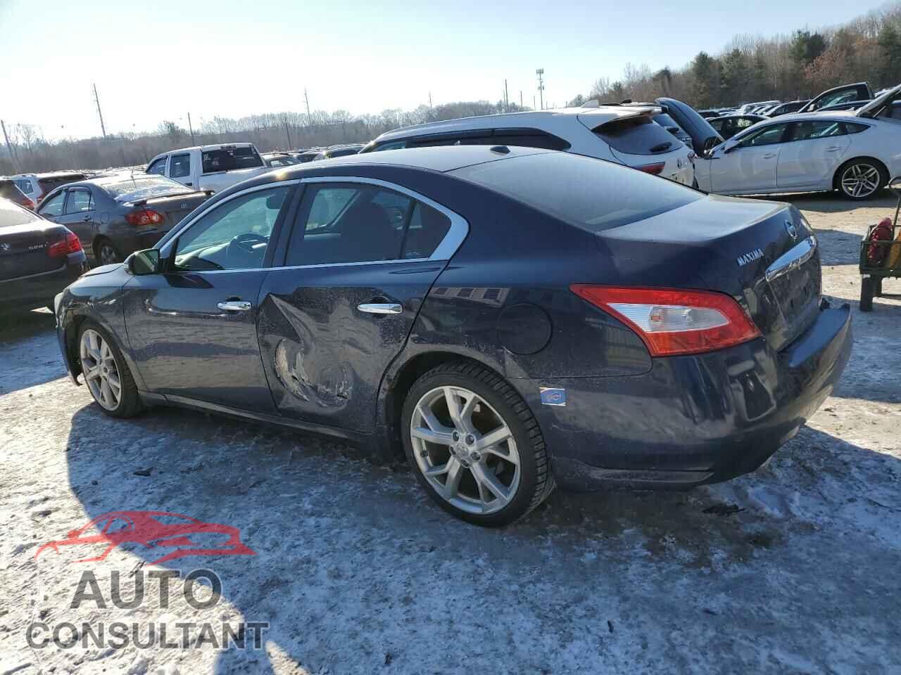 NISSAN MAXIMA 2011 - 1N4AA5AP9BC843003