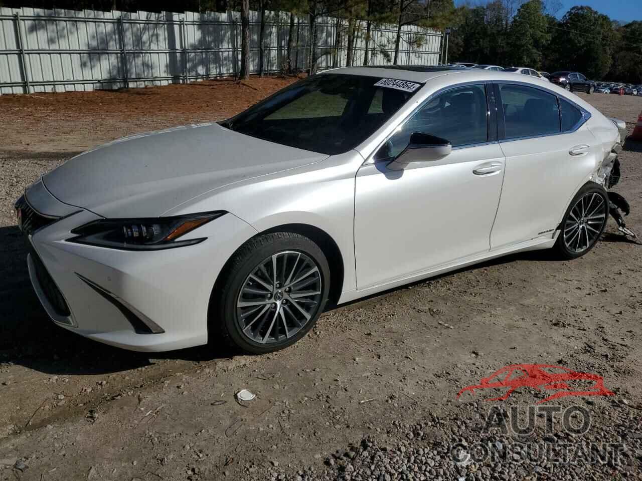 LEXUS ES300 2022 - 58ADA1C11NU020268