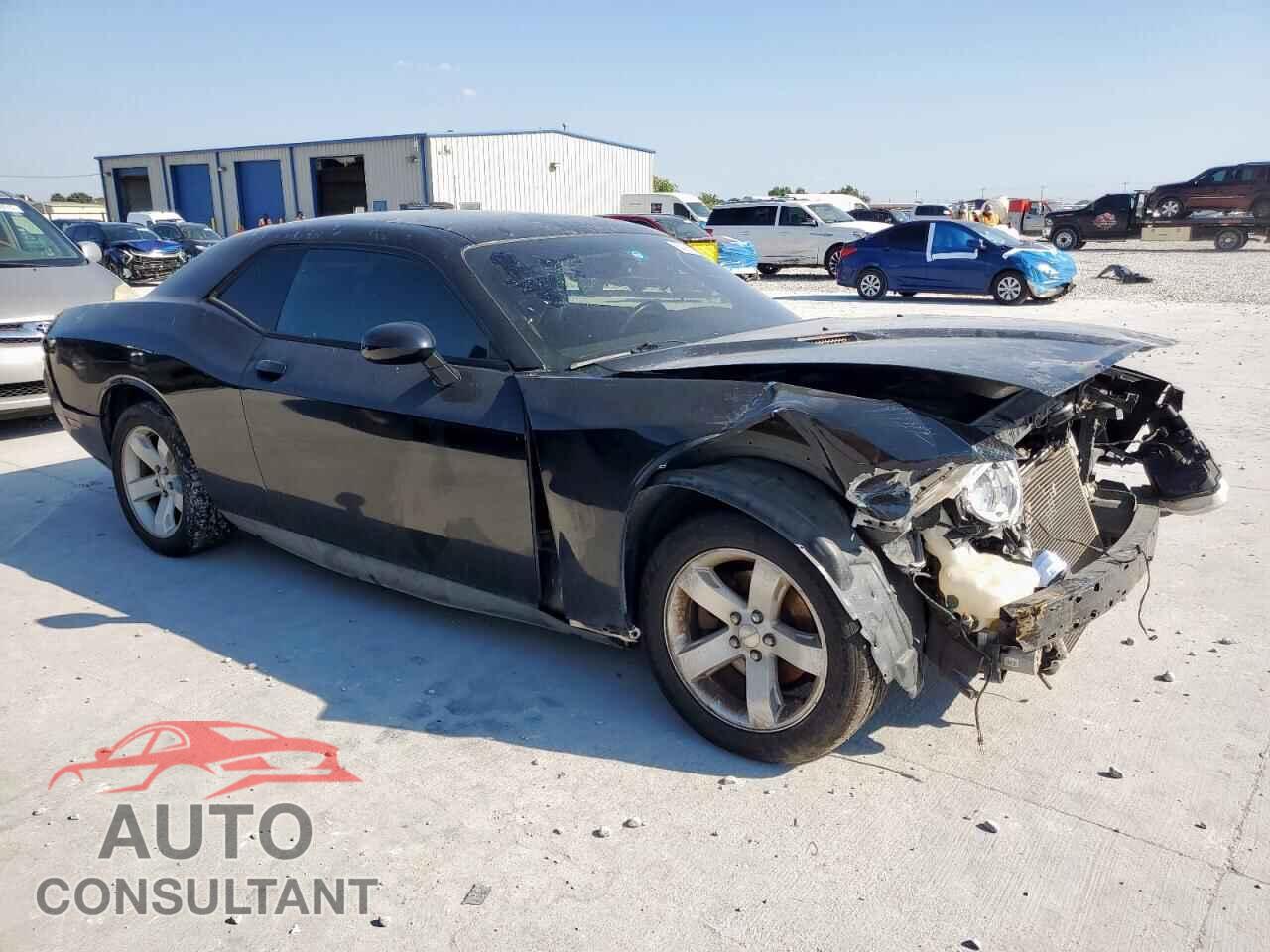 DODGE CHALLENGER 2013 - 2C3CDYAG5DH569458