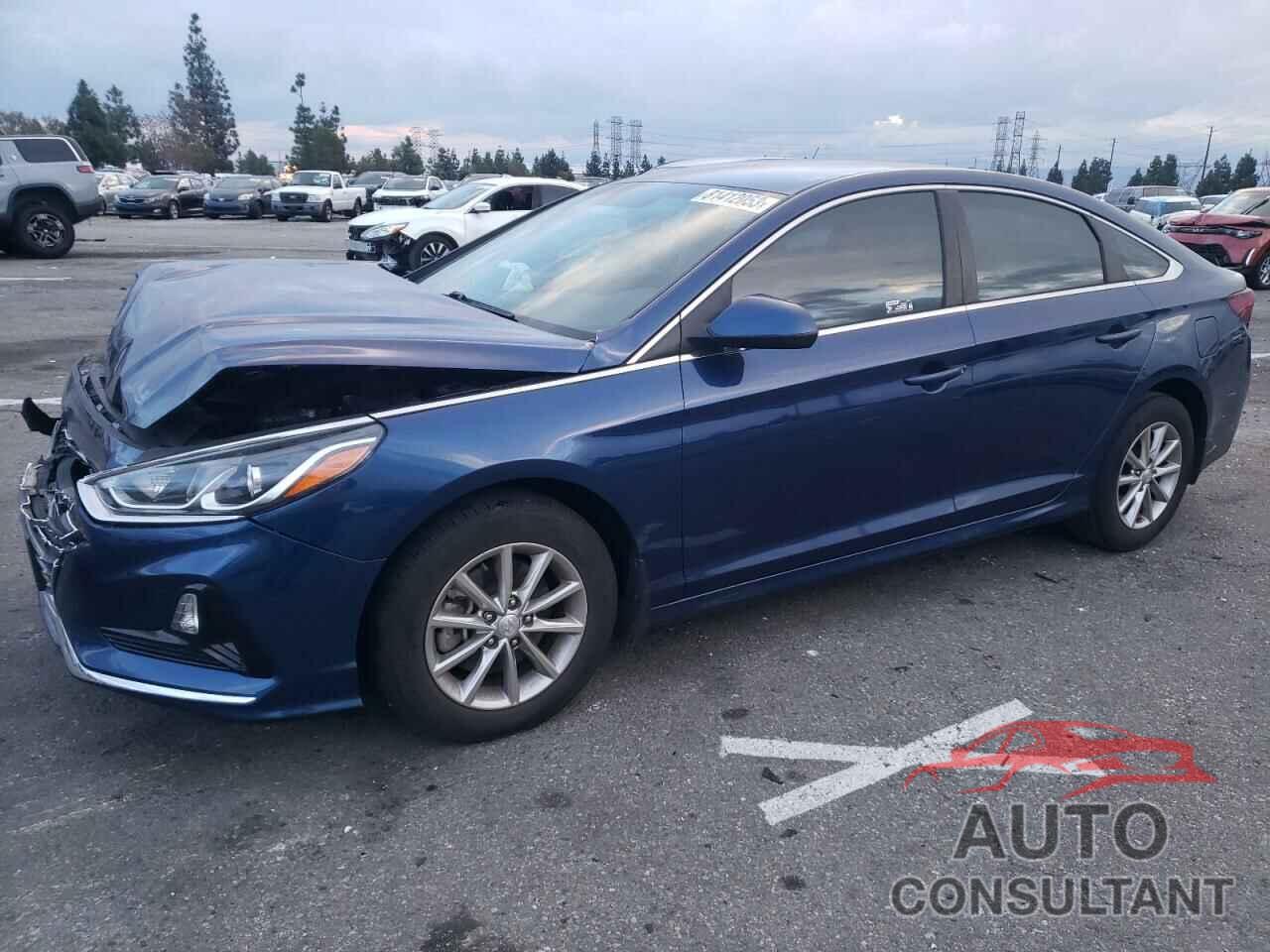 HYUNDAI SONATA 2019 - 5NPE24AF2KH798517