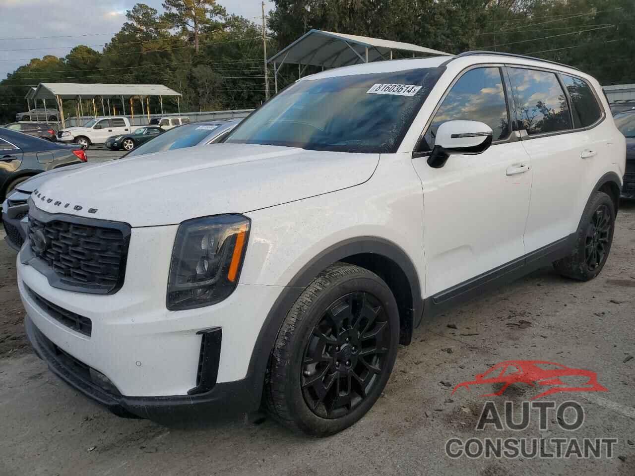 KIA TELLURIDE 2021 - 5XYP5DHC8MG118545