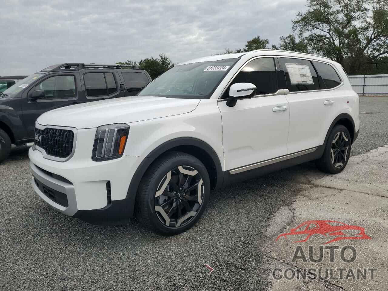 KIA TELLURIDE 2024 - 5XYP34GC8RG552043