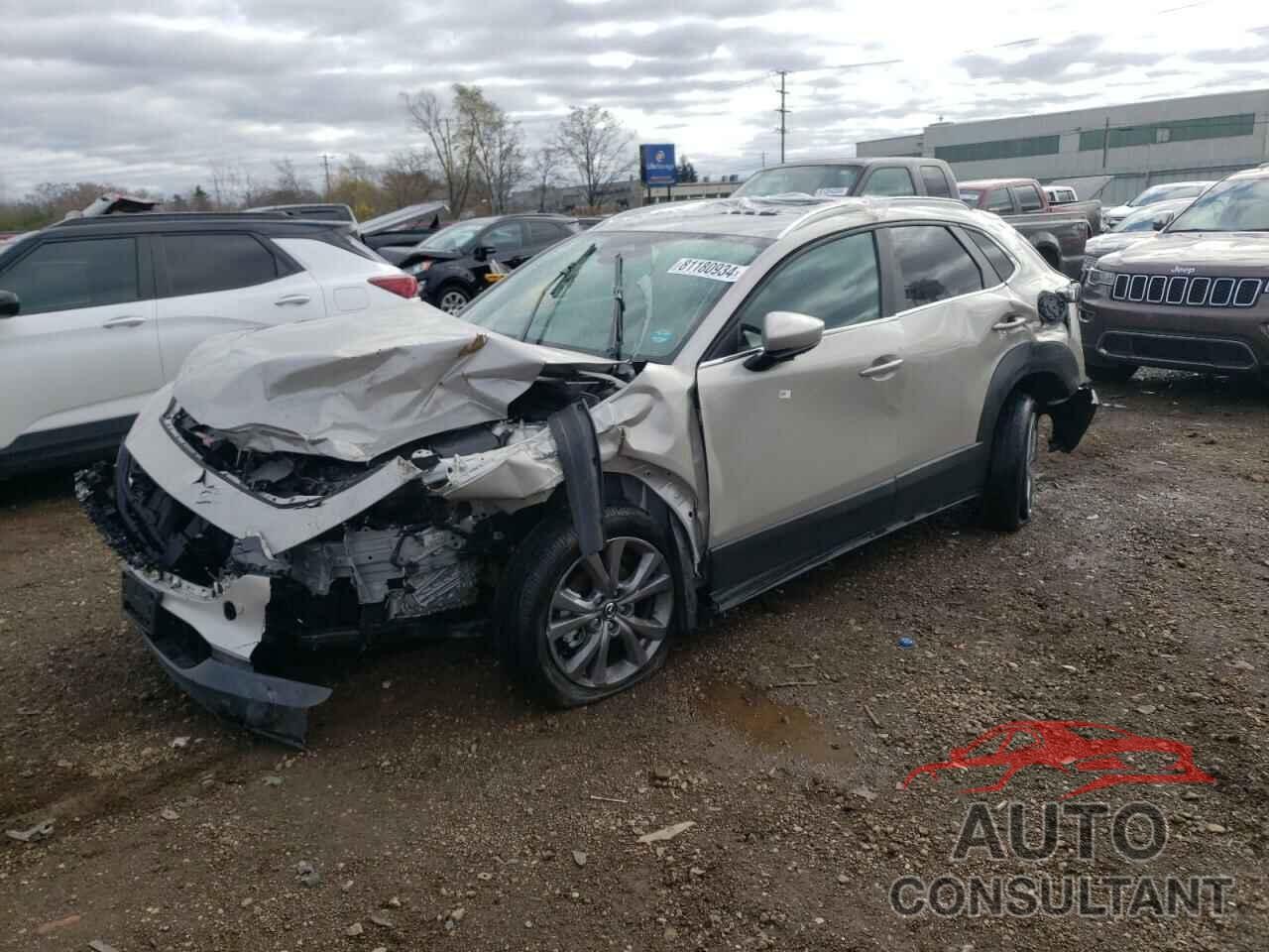 MAZDA CX30 2024 - 3MVDMBCM5RM710438