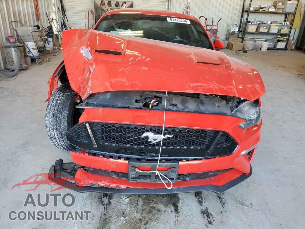 FORD MUSTANG 2019 - 1FA6P8CF1K5196353