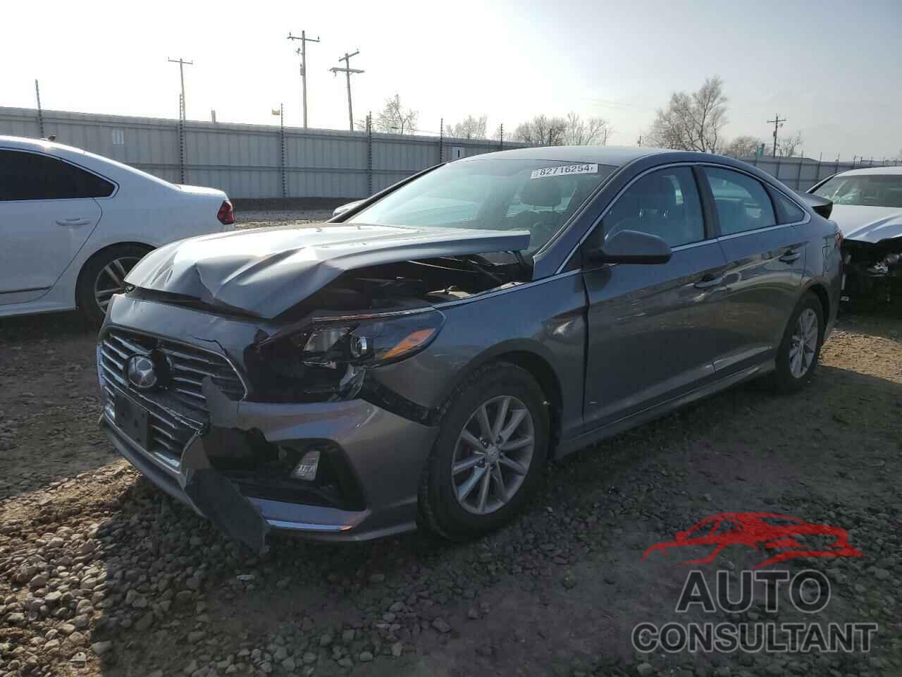 HYUNDAI SONATA 2019 - 5NPE24AF5KH792081
