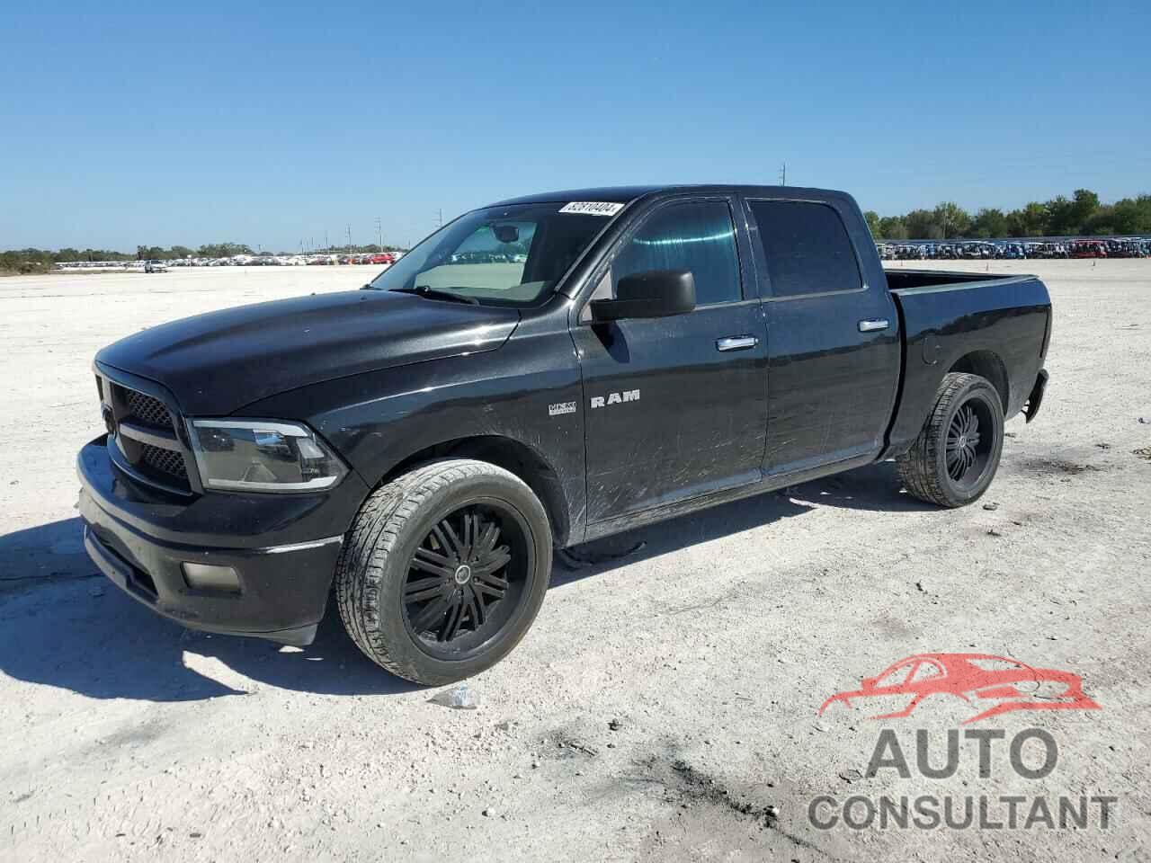 DODGE All Models 2009 - 1D3HB13T99S761384