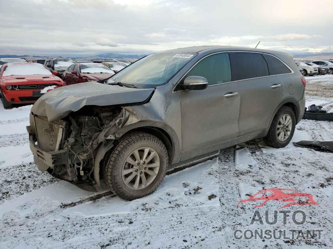 KIA SORENTO 2019 - 5XYPGDA53KG551712