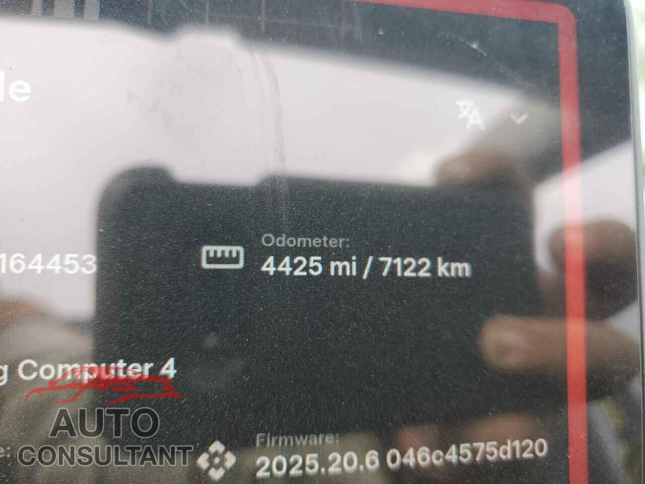 TESLA MODEL Y 2024 - 7SAYGDEE5RF164453