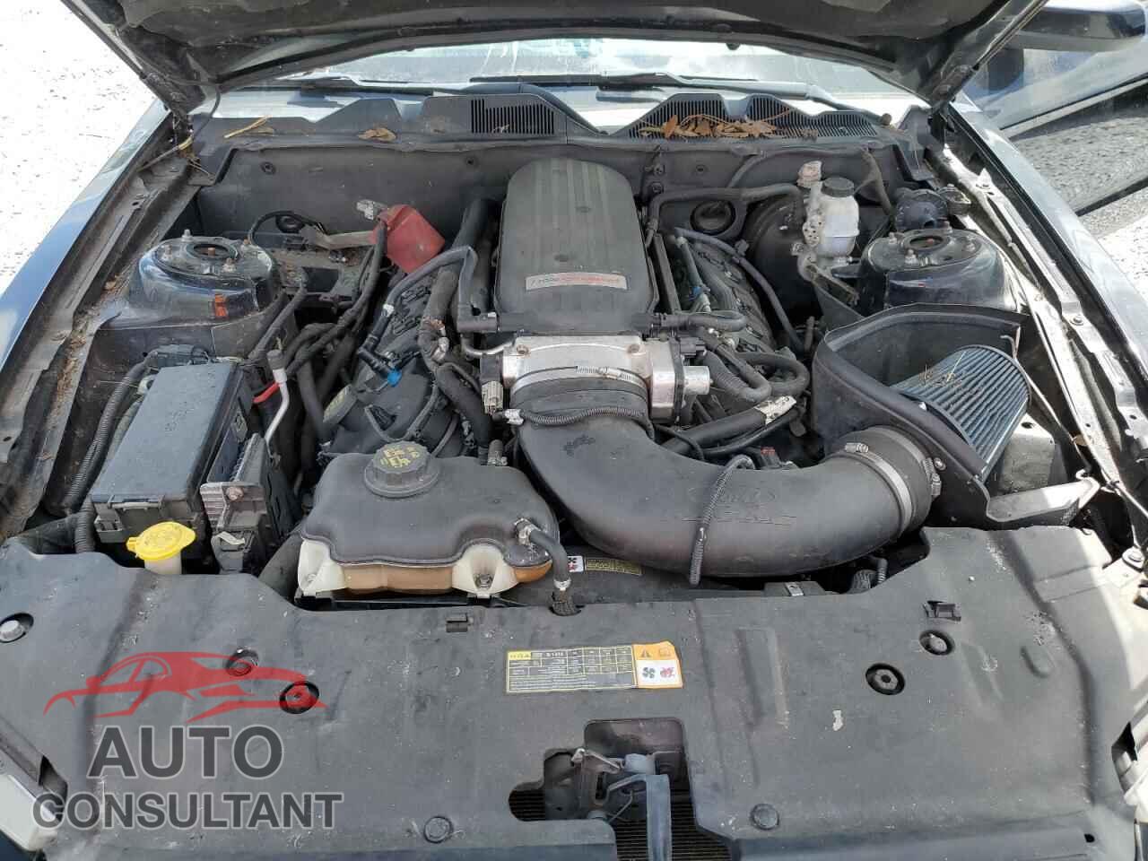 FORD MUSTANG 2014 - 1ZVBP8CF3E5235020