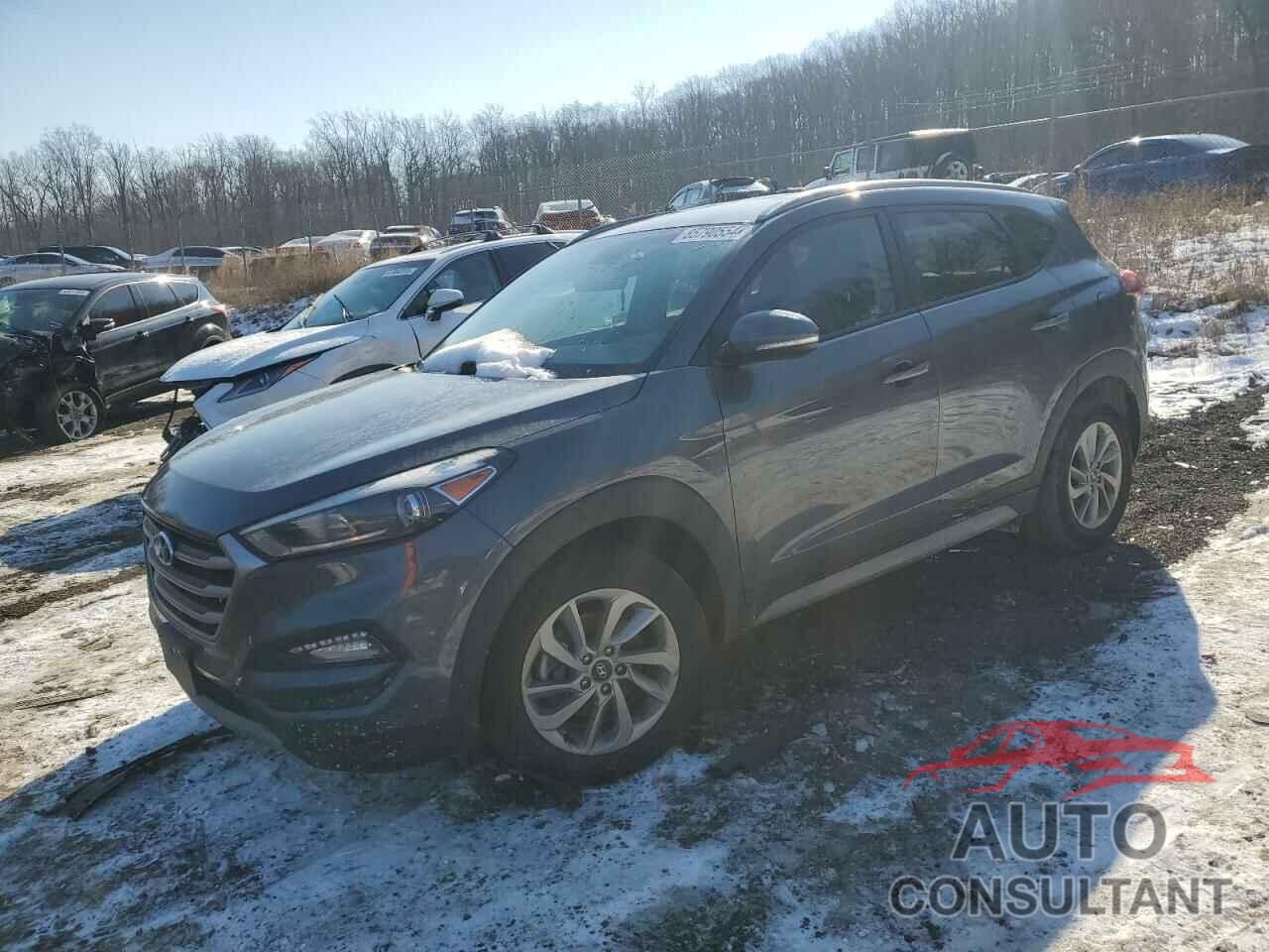 HYUNDAI TUCSON 2017 - KM8J3CA26HU498301