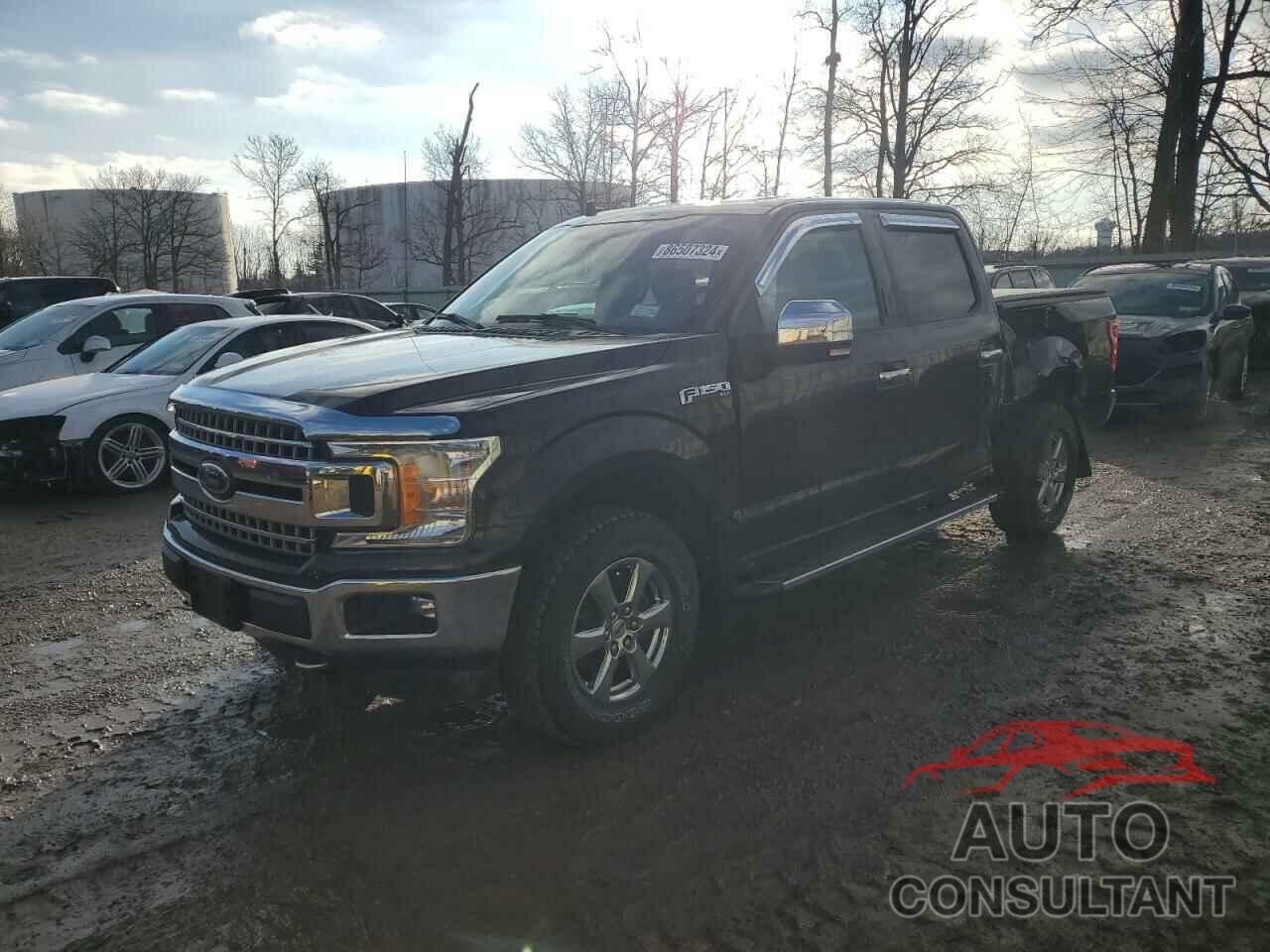 FORD F-150 2019 - 1FTEW1E50KFB56411