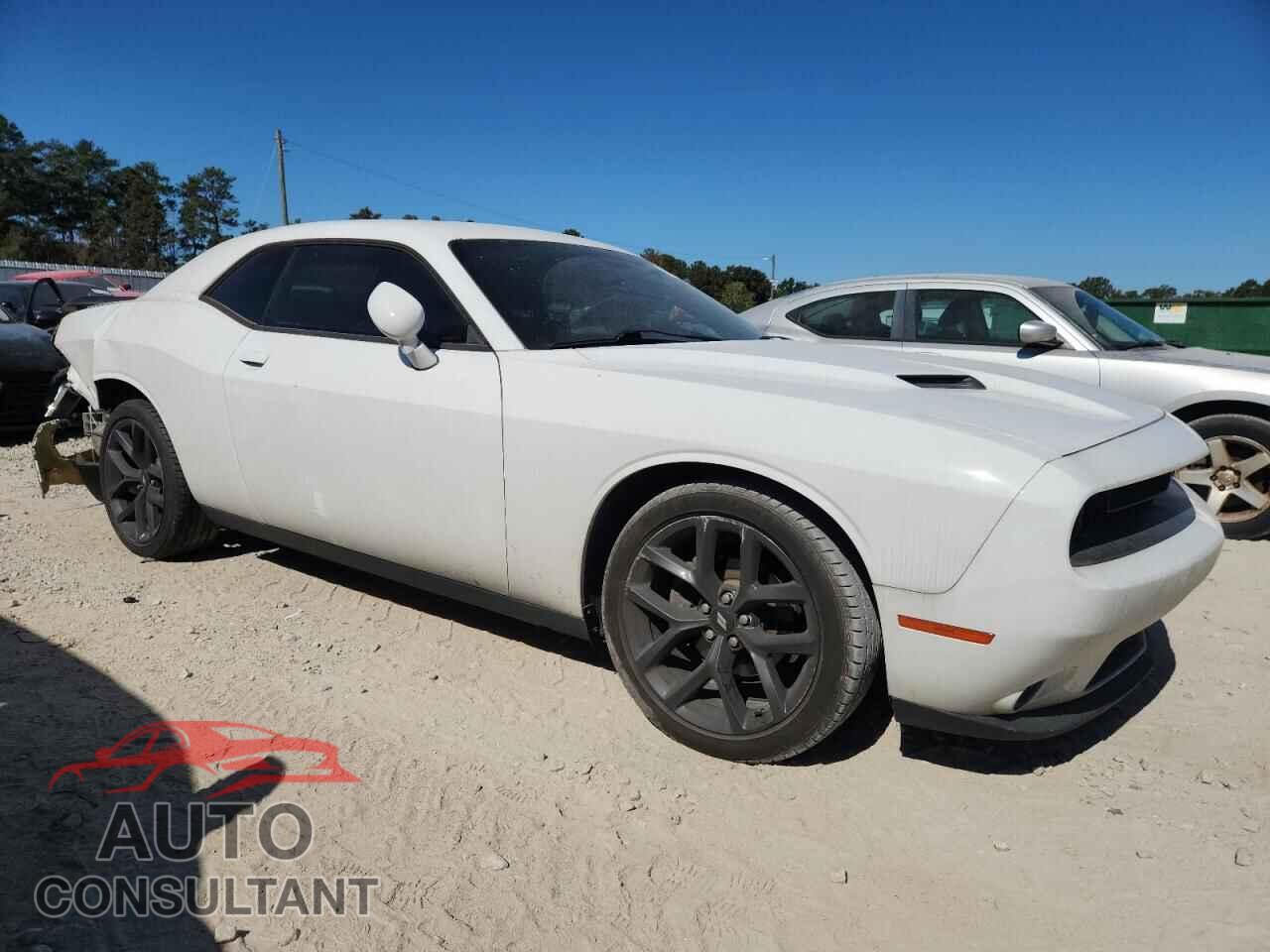 DODGE CHALLENGER 2019 - 2C3CDZAG2KH503923