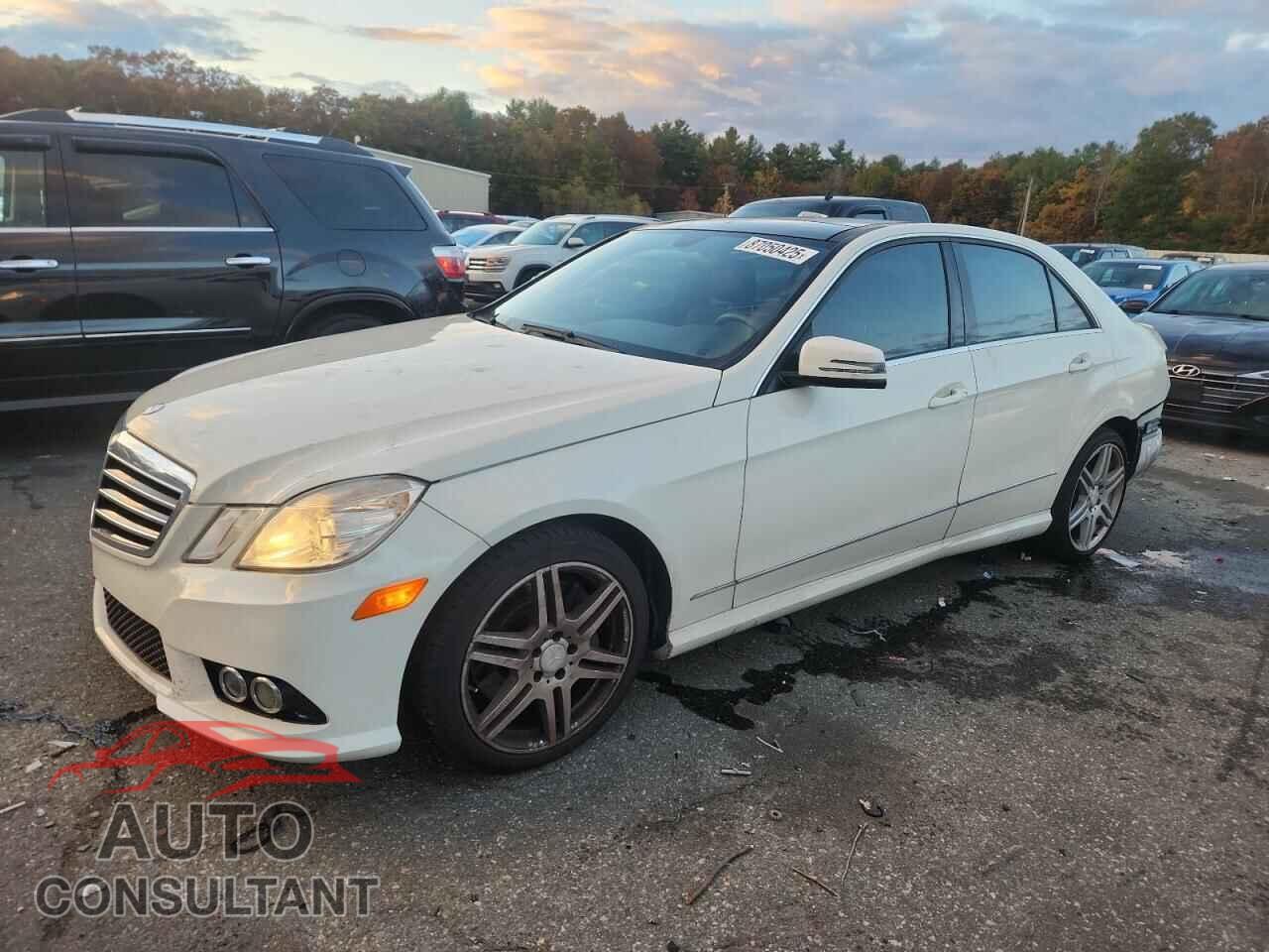 MERCEDES-BENZ E-CLASS 2010 - WDDHF7CB7AA224049