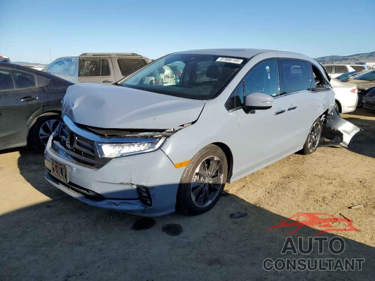 HONDA ODYSSEY 2024 - 5FNRL6H99RB030410