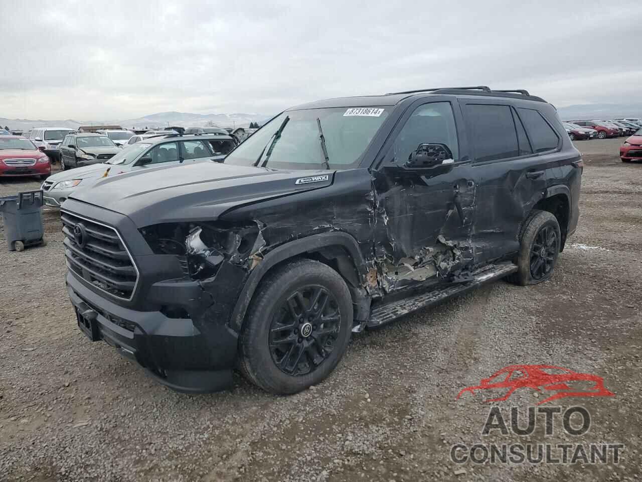TOYOTA SEQUOIA 2024 - 7SVAAABA4RX042999