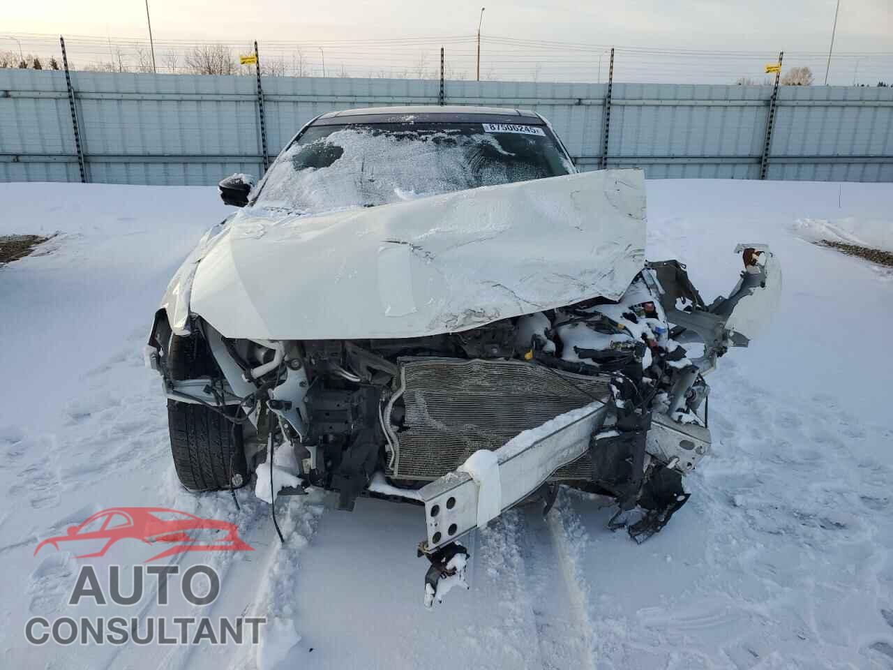 NISSAN MAXIMA 2017 - 1N4AA6AP2HC381379