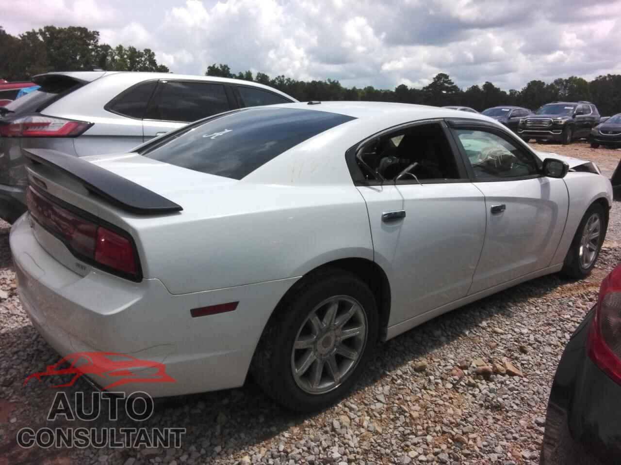 DODGE CHARGER 2014 - 2C3CDXHG3EH359989