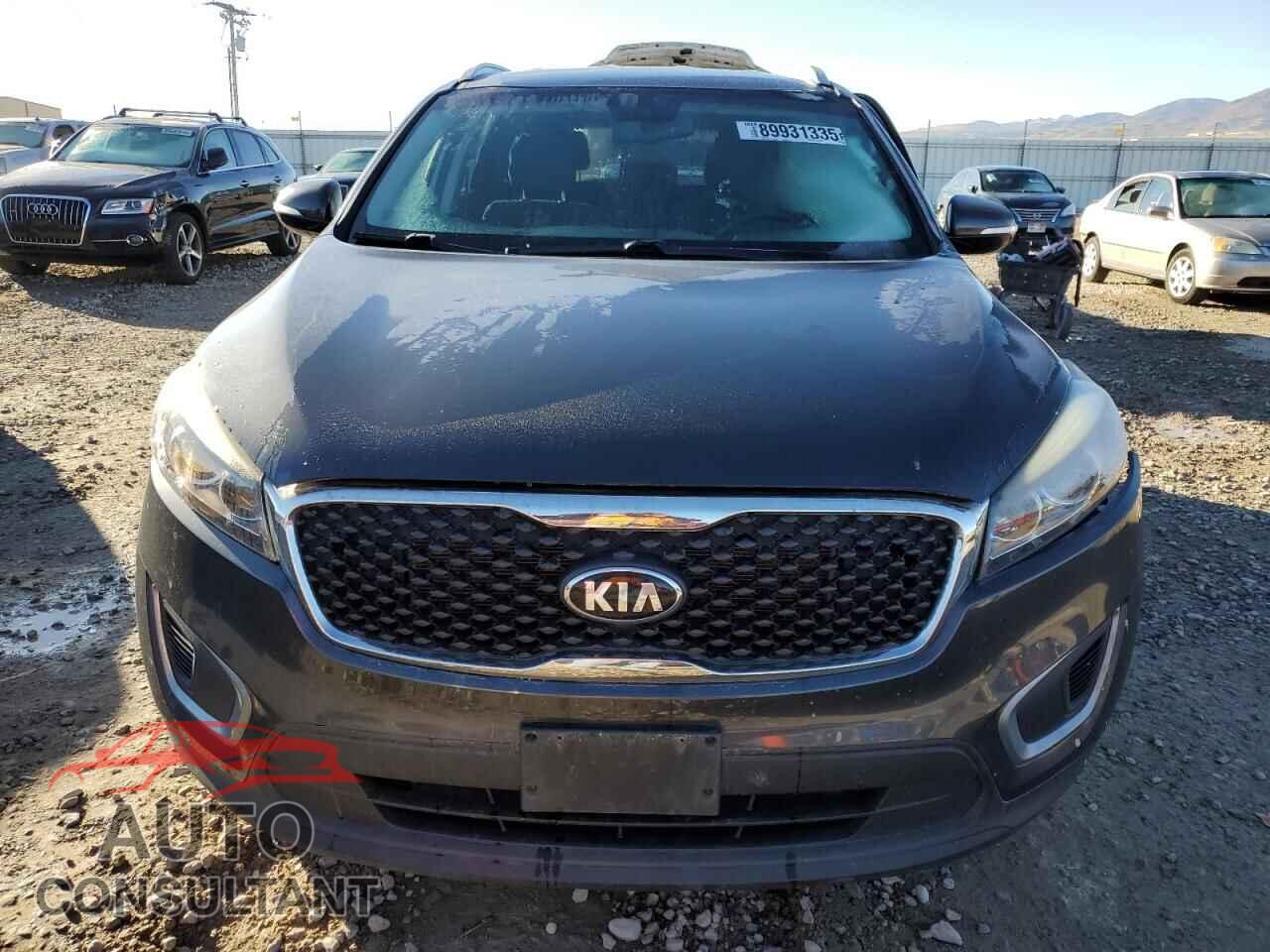KIA SORENTO 2017 - 5XYPGDA30HG200375