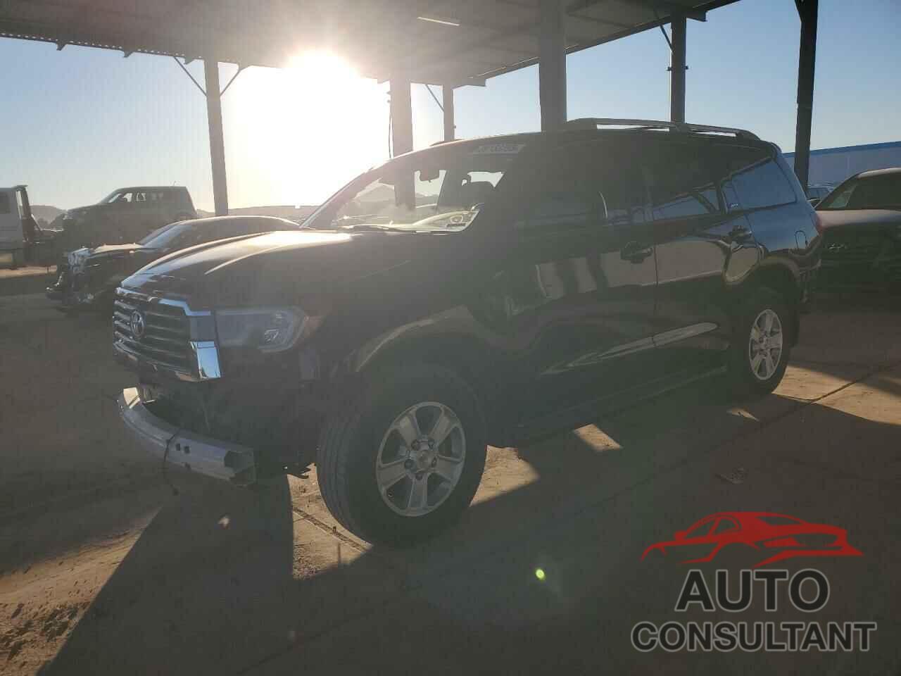 TOYOTA SEQUOIA 2018 - 5TDZY5G13JS069341