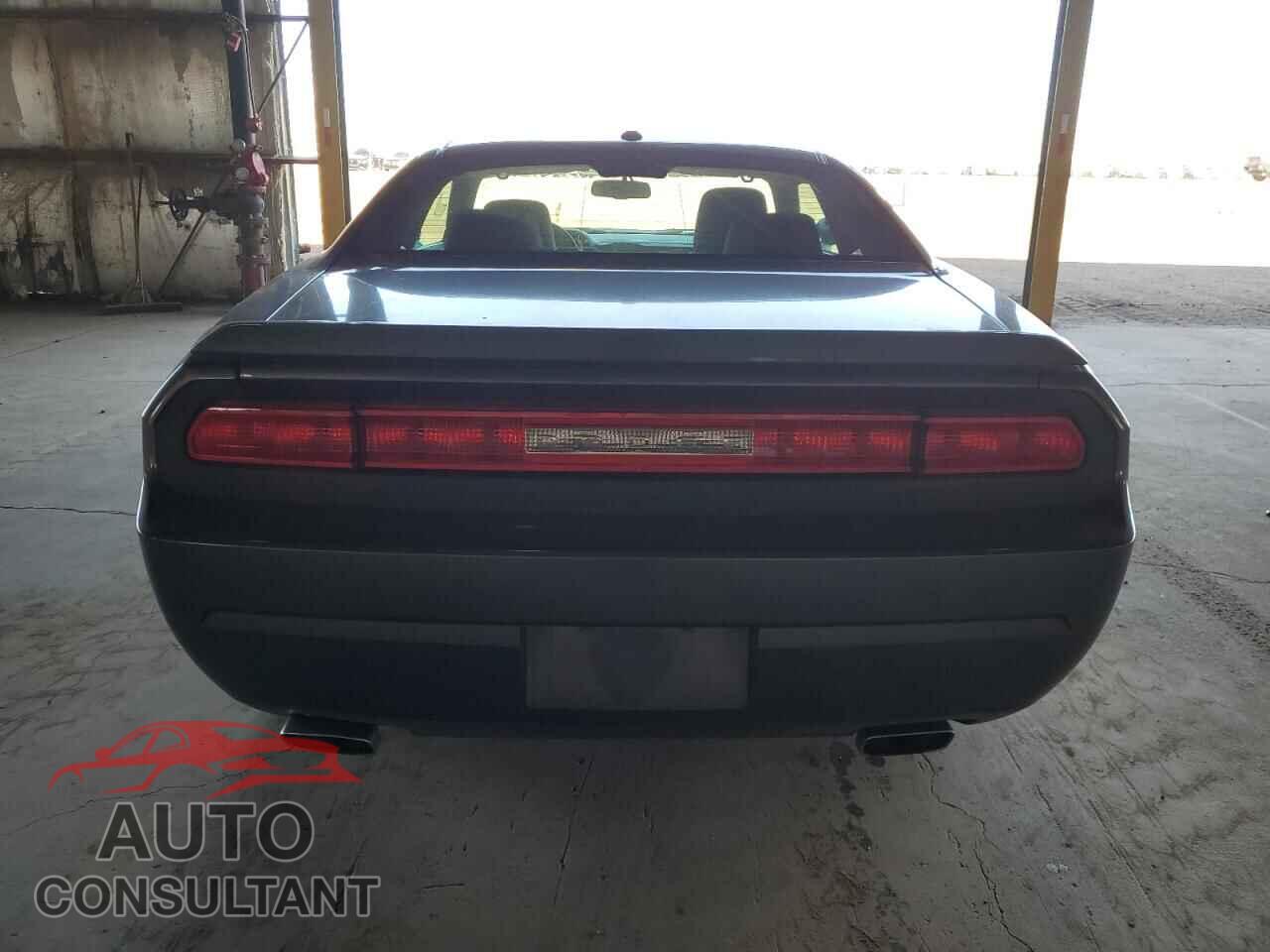 DODGE CHALLENGER 2013 - 2C3CDYBT2DH700227