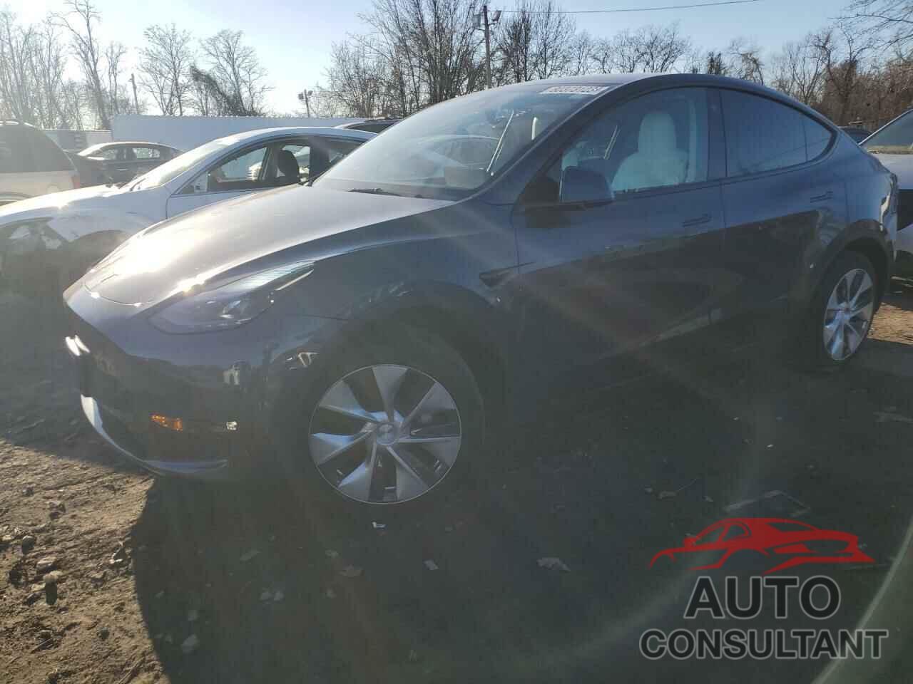 TESLA MODEL Y 2022 - 7SAYGDEE0NF534511