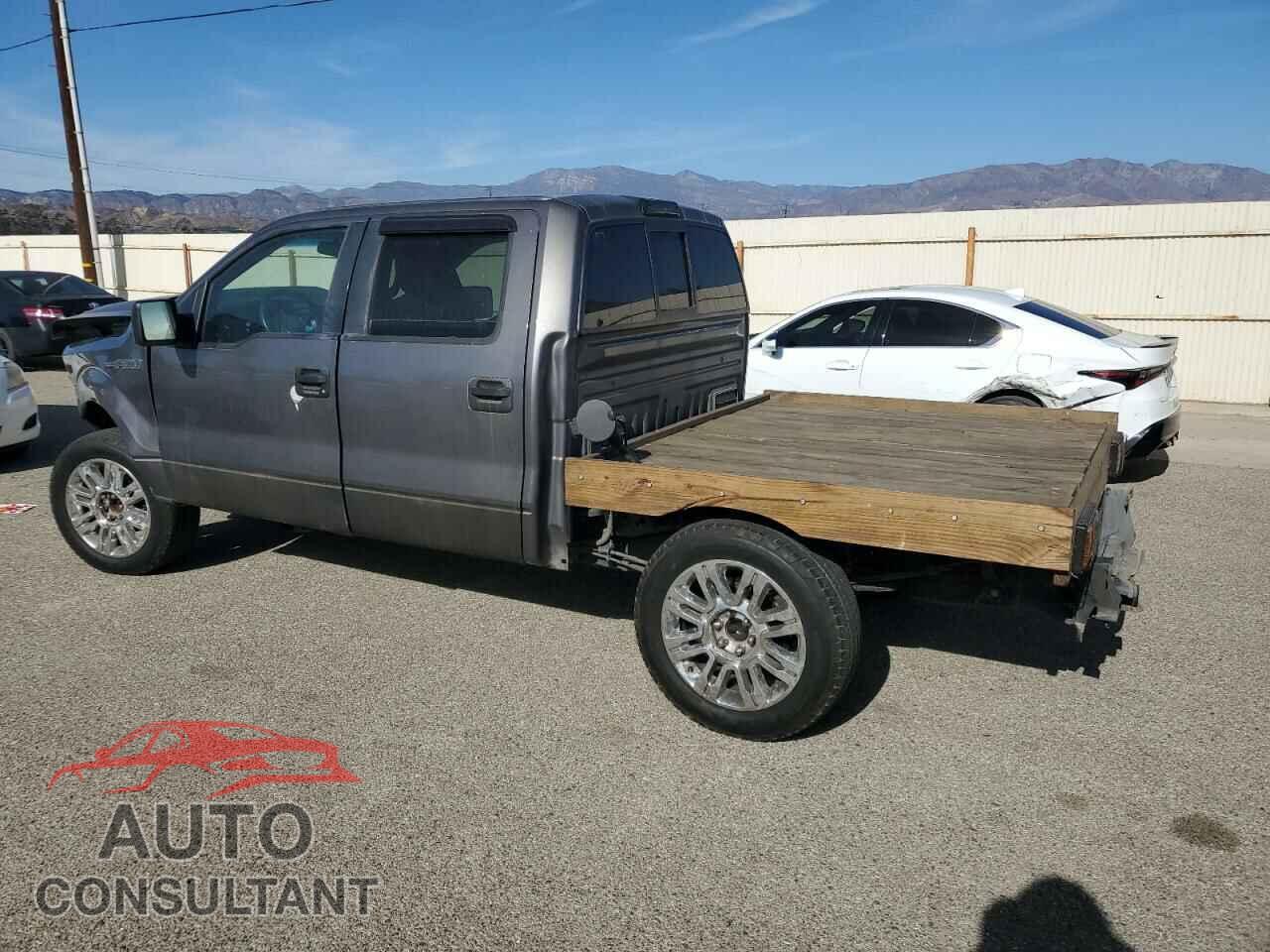 FORD F-150 2009 - 1FTRW12819FB15960