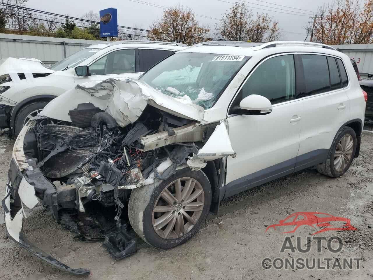 VOLKSWAGEN TIGUAN 2011 - WVGBV7AX3BW524219