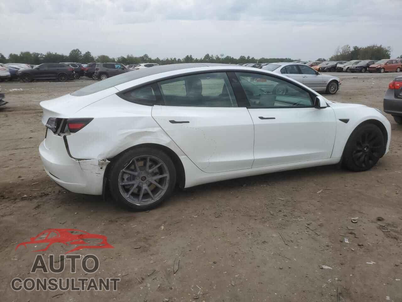 TESLA MODEL 3 2021 - 5YJ3E1EA1MF854296