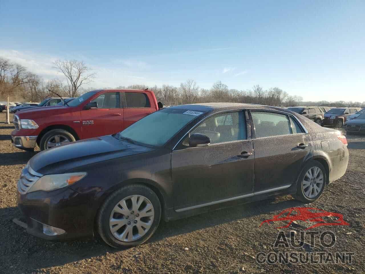 TOYOTA AVALON 2011 - 4T1BK3DB1BU395085