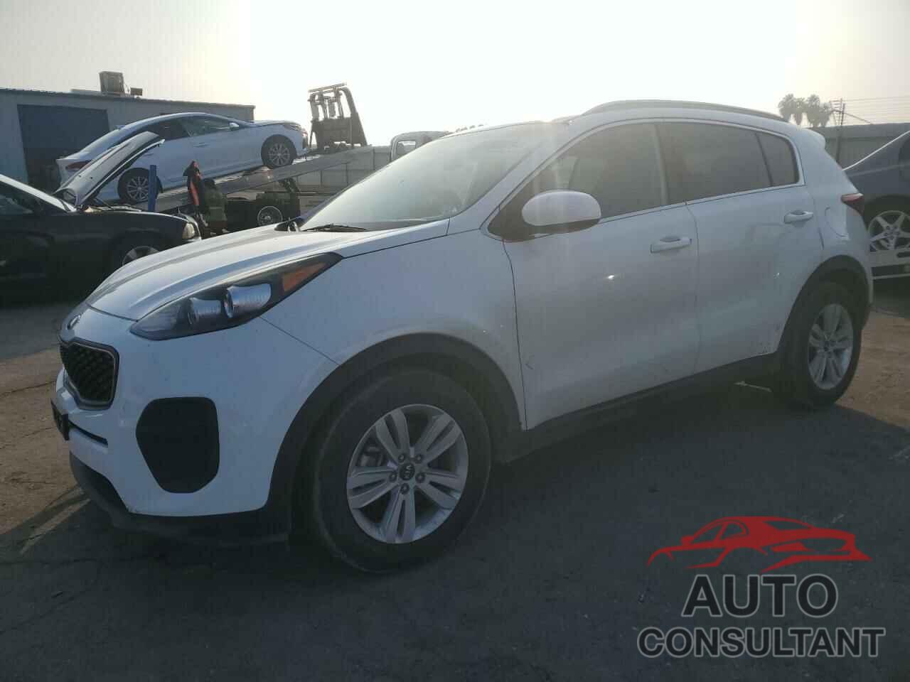 KIA SPORTAGE 2019 - KNDPM3AC7K7504178