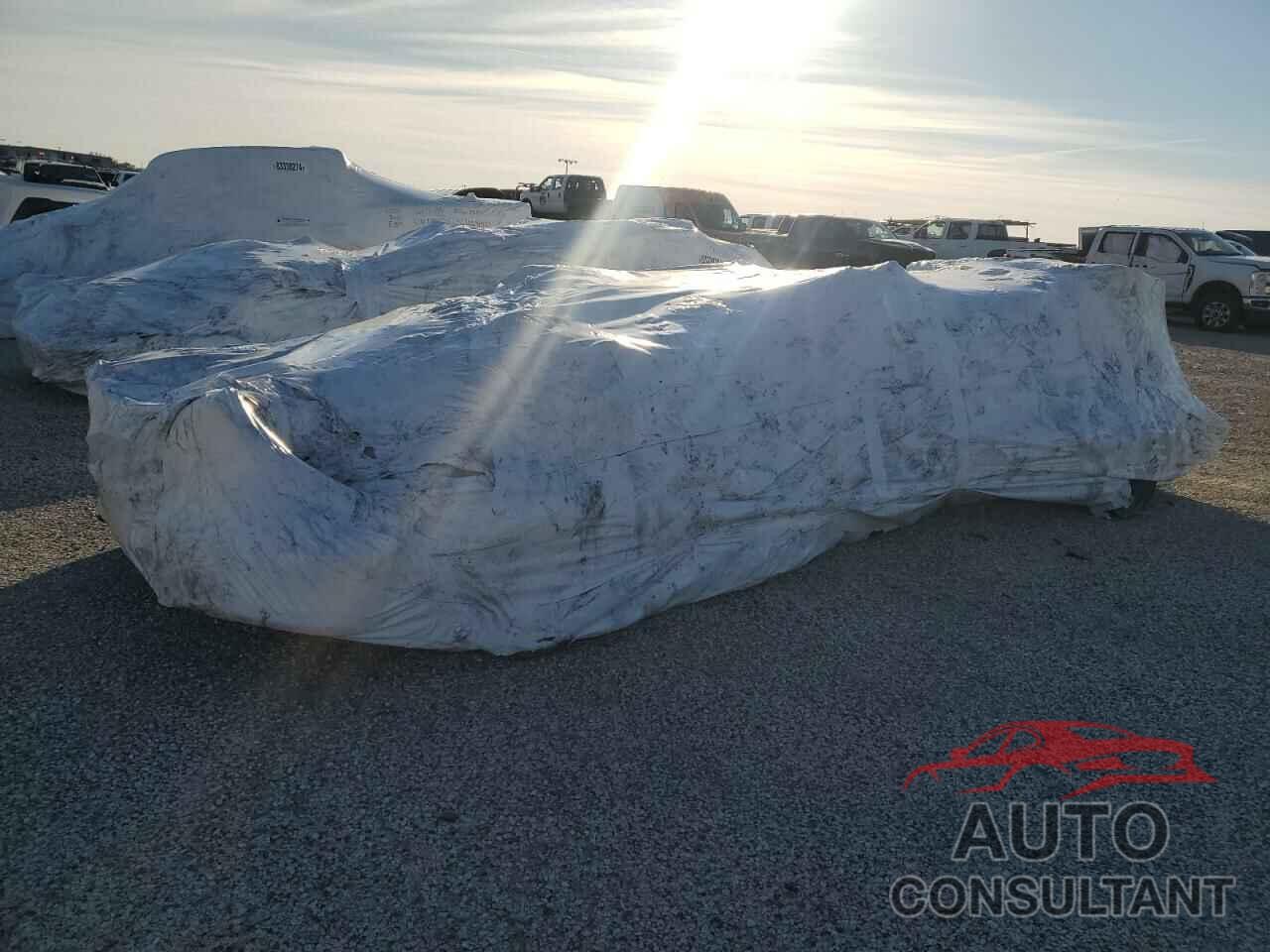 FORD F150 2024 - 1FTFW1L5XRKD89995