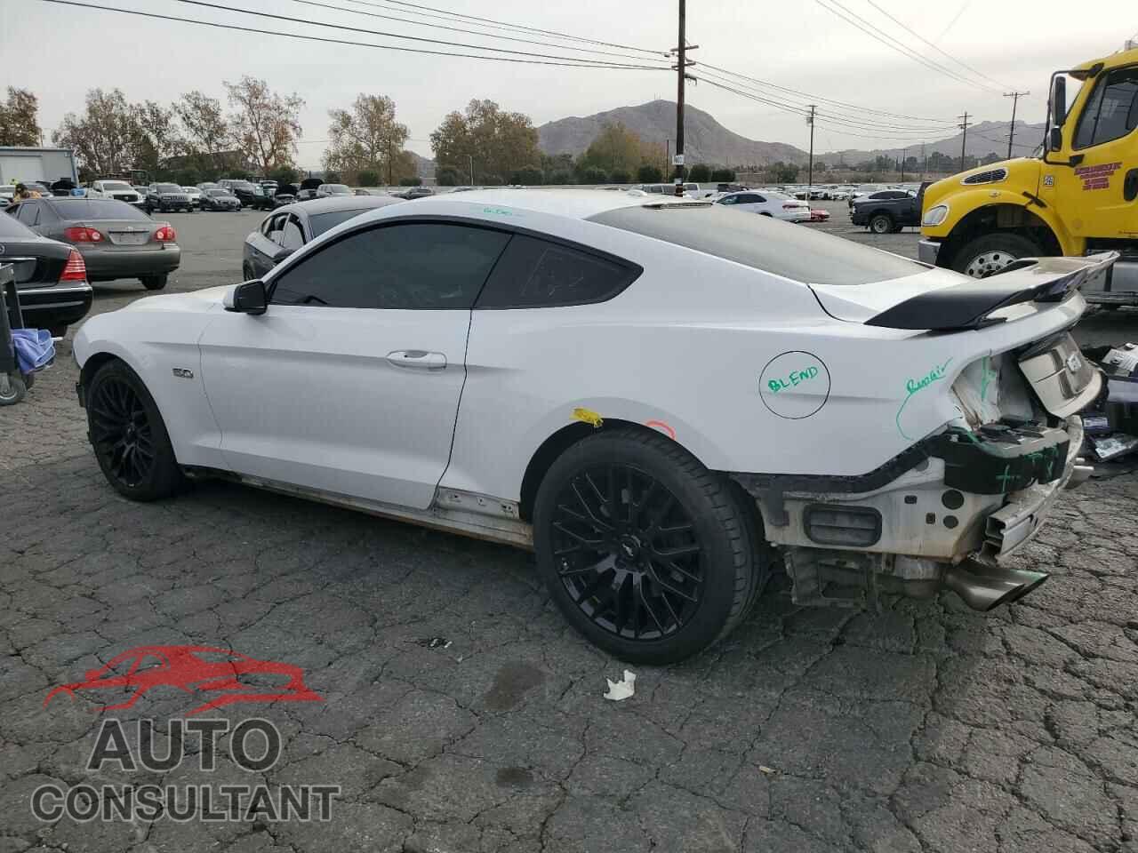 FORD MUSTANG 2019 - 1FA6P8CF6K5119221
