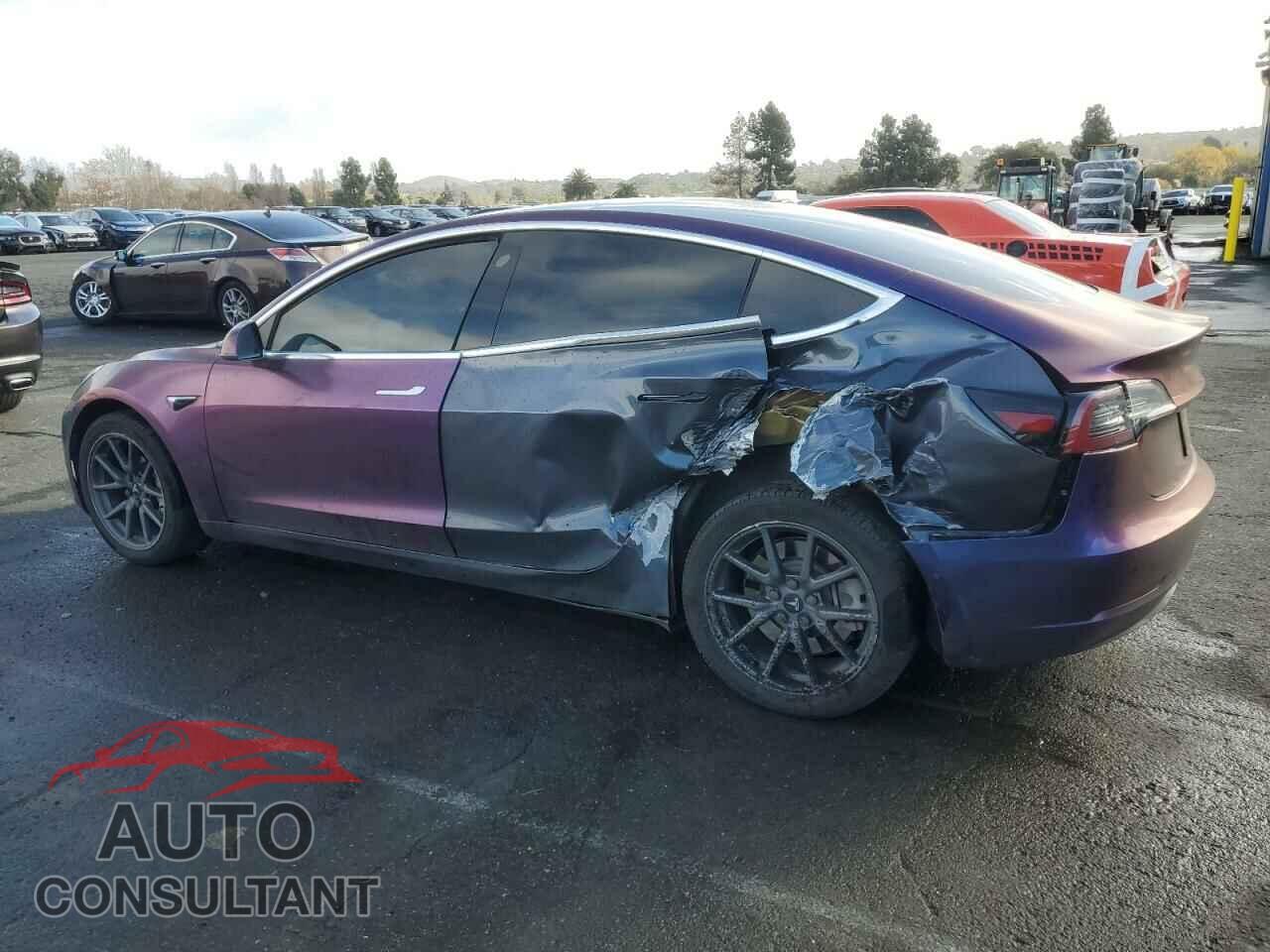 TESLA MODEL 3 2019 - 5YJ3E1EB3KF451975