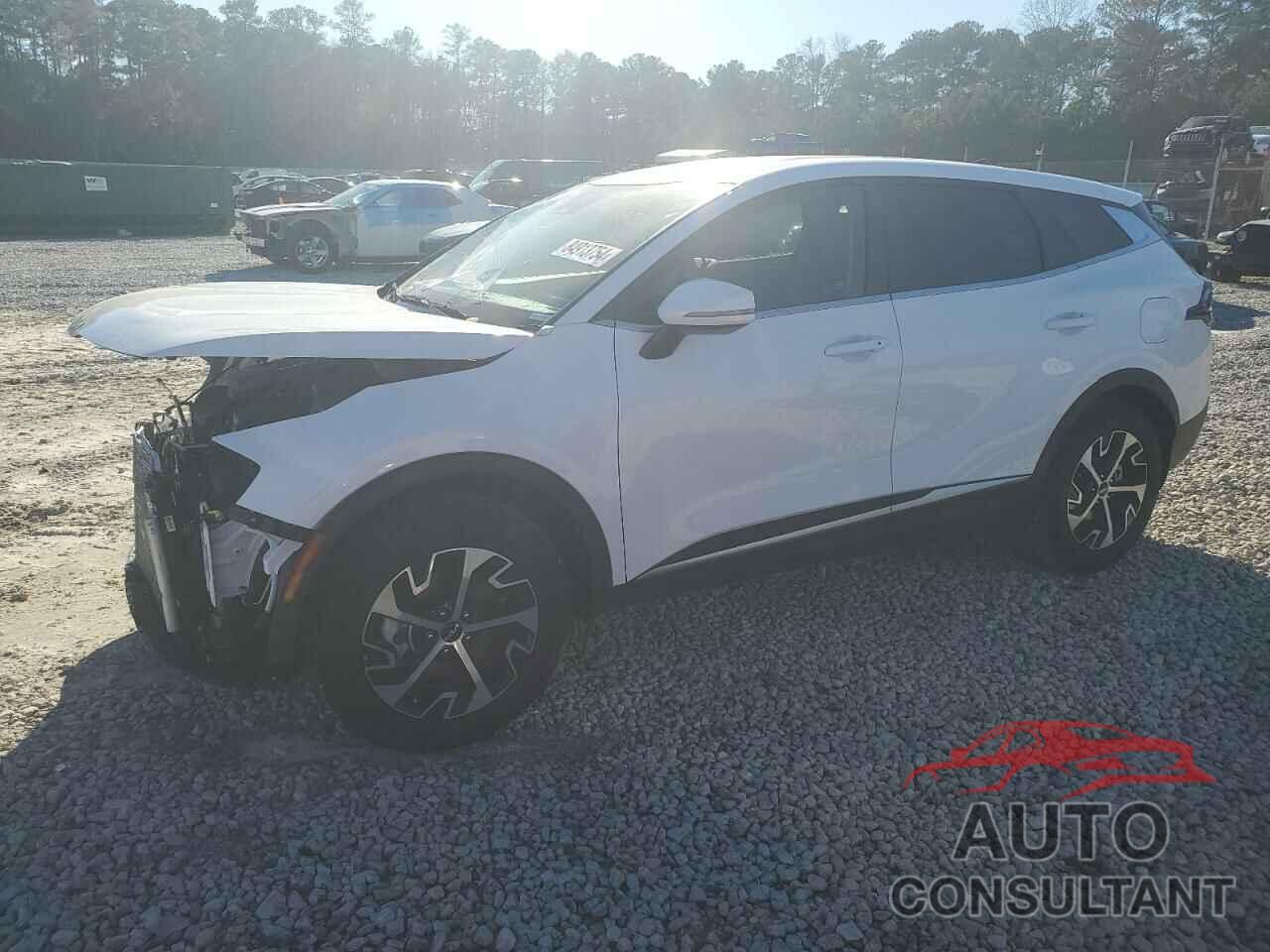 KIA SPORTAGE 2024 - 5XYK33DF7RG187423