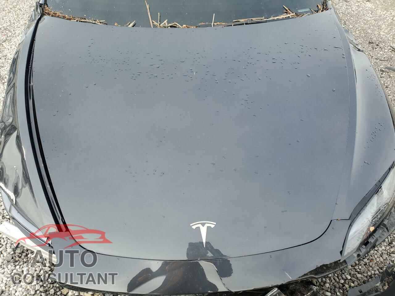 TESLA MODEL 3 2025 - 5YJ3E1EA0SF902075