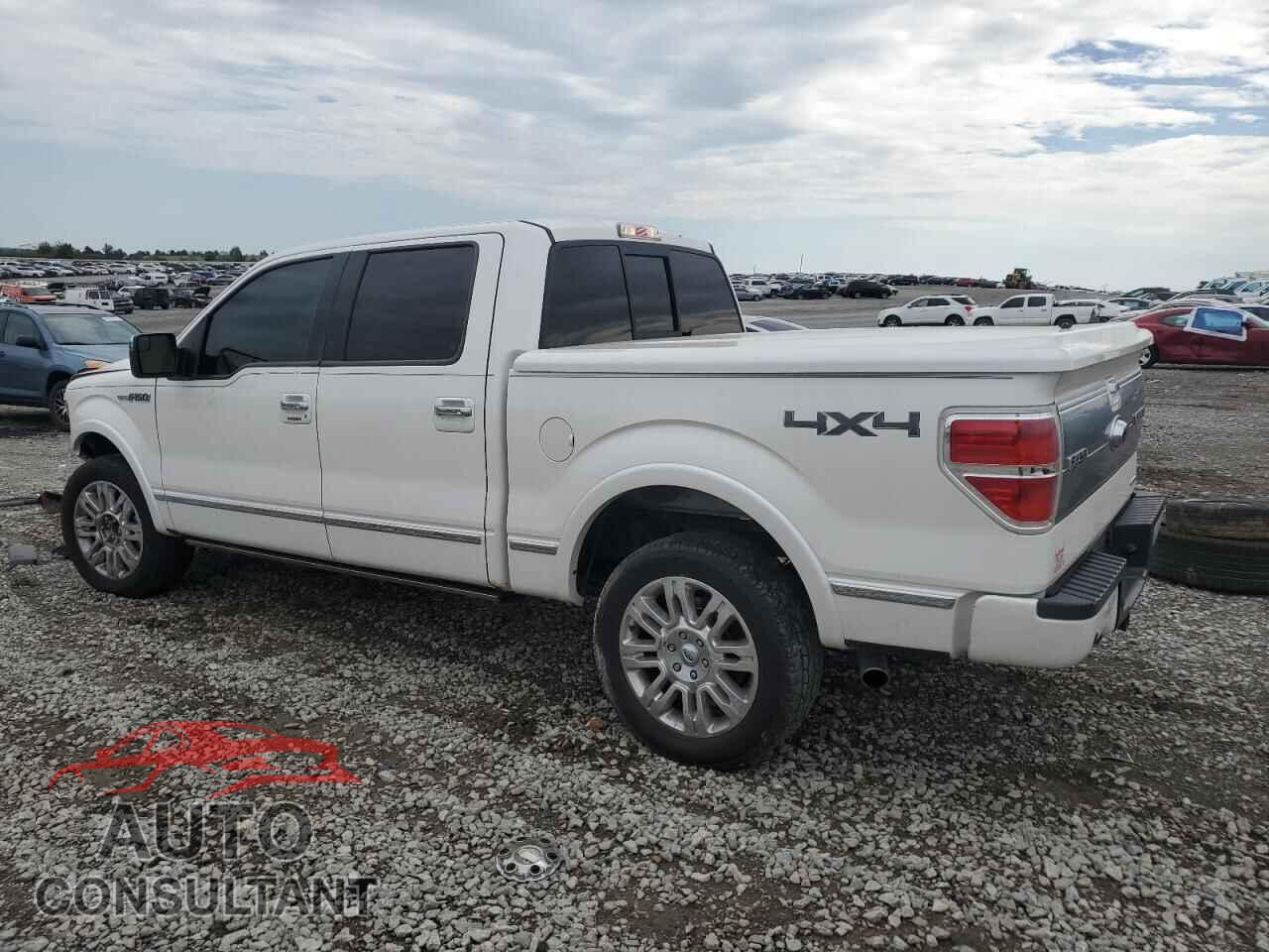 FORD F-150 2013 - 1FTFW1EF0DFD68239