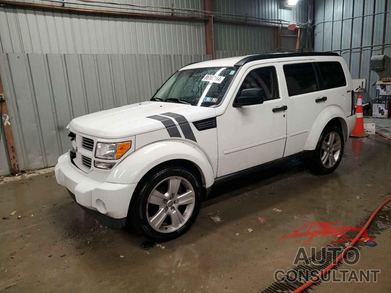 DODGE NITRO 2011 - 1D4PU4GK3BW598718