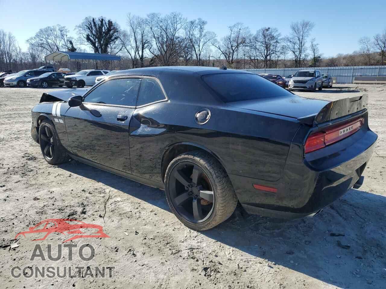 DODGE CHALLENGER 2014 - 2C3CDYBT7EH162108