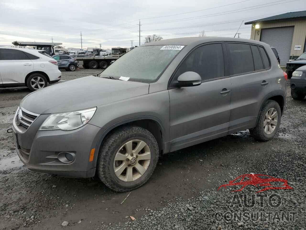 VOLKSWAGEN TIGUAN 2010 - WVGBV7AX7AW524433