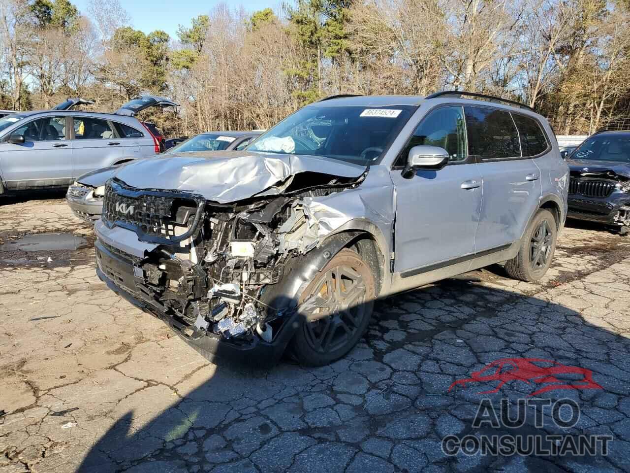 KIA TELLURIDE 2024 - 5XYP5DGC1RG541895