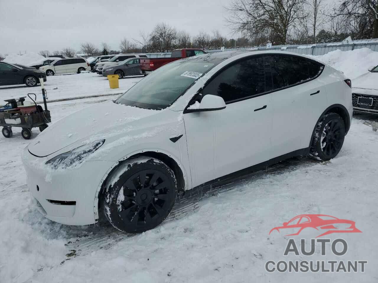 TESLA MODEL Y 2023 - LRWYGDEE3PC106989