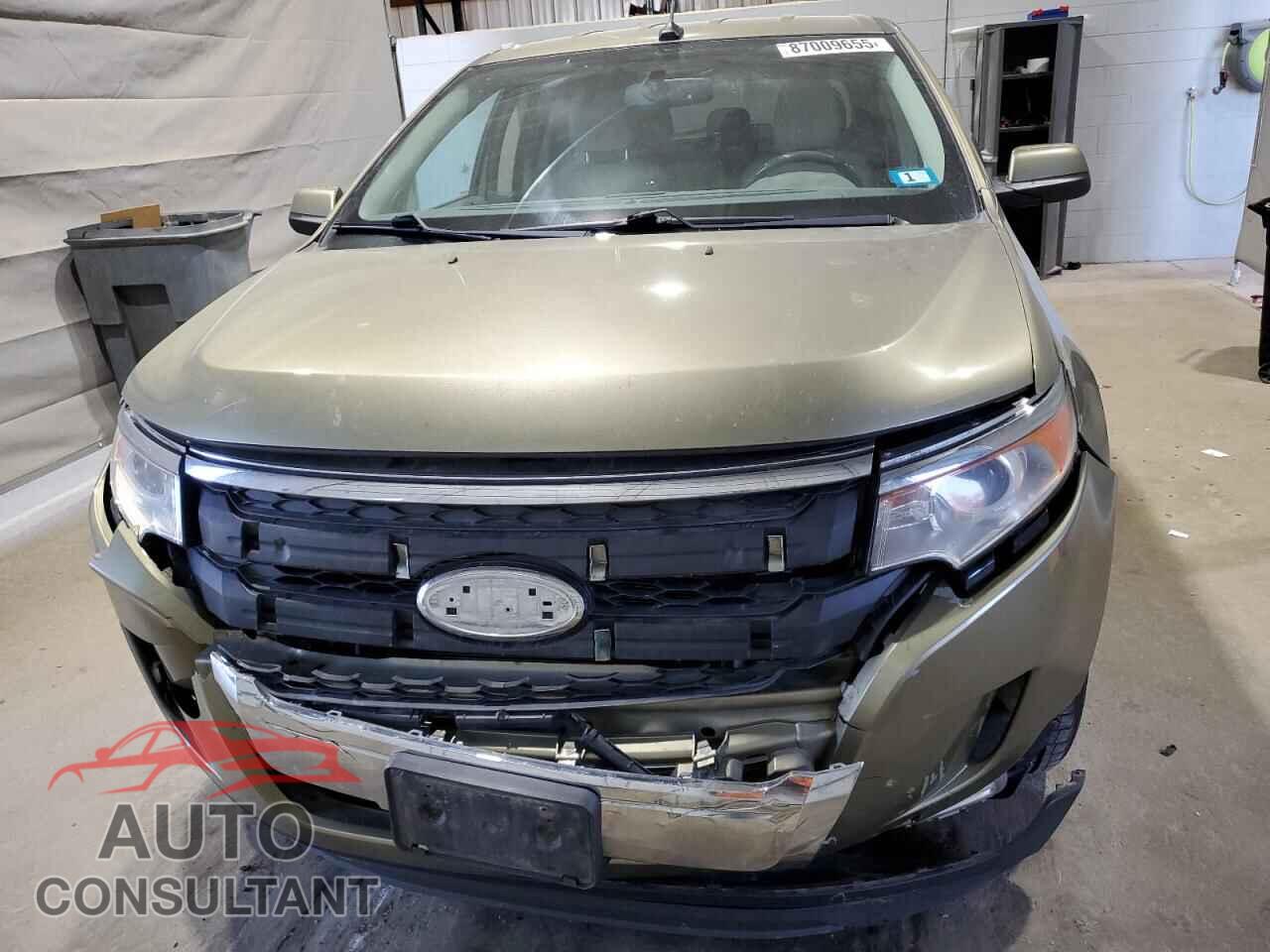 FORD EDGE 2013 - 2FMDK3KC6DBA75905