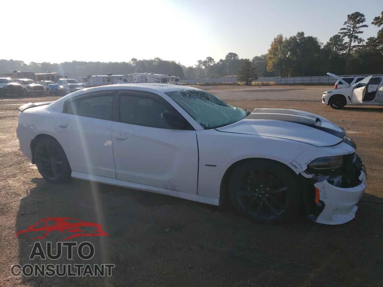 DODGE CHARGER 2019 - 2C3CDXCT2KH571850