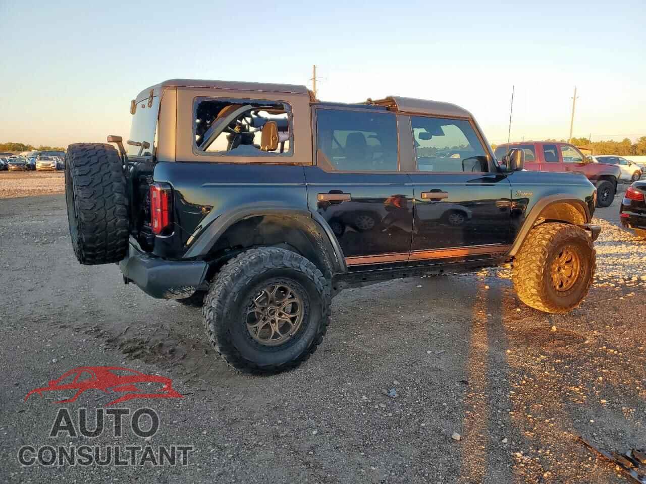 FORD BRONCO WIL 2024 - 1FMEE2BP5RLA85177