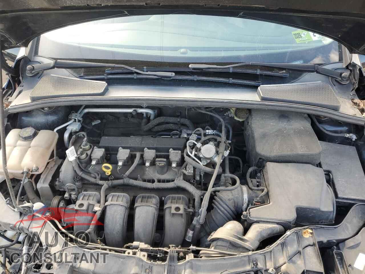 FORD FOCUS 2016 - 1FADP3F27GL398135