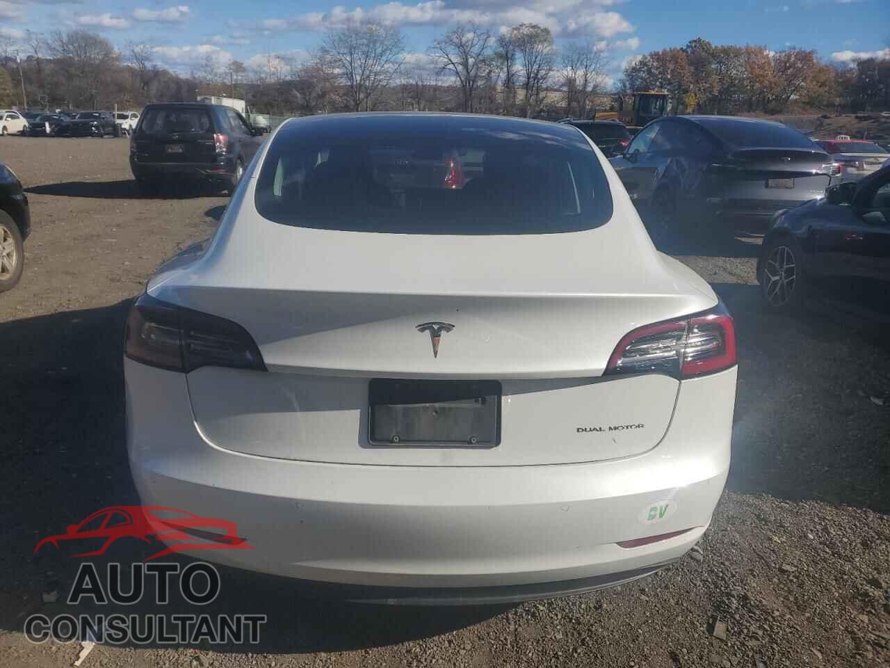TESLA MODEL 3 2020 - 5YJ3E1EB5LF618063