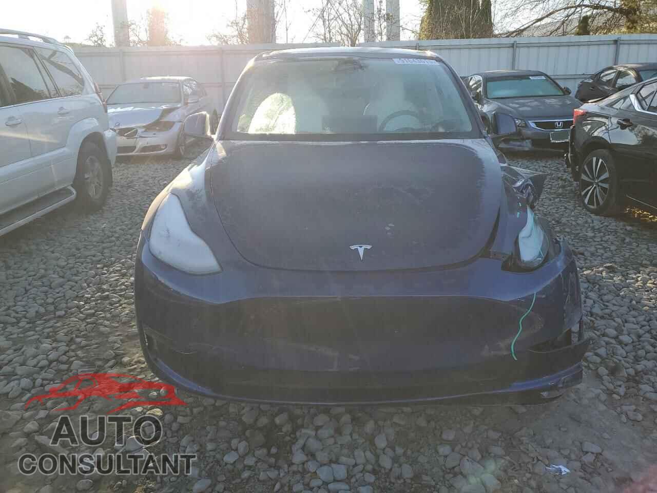 TESLA MODEL Y 2022 - 7SAYGDEE9NF417543