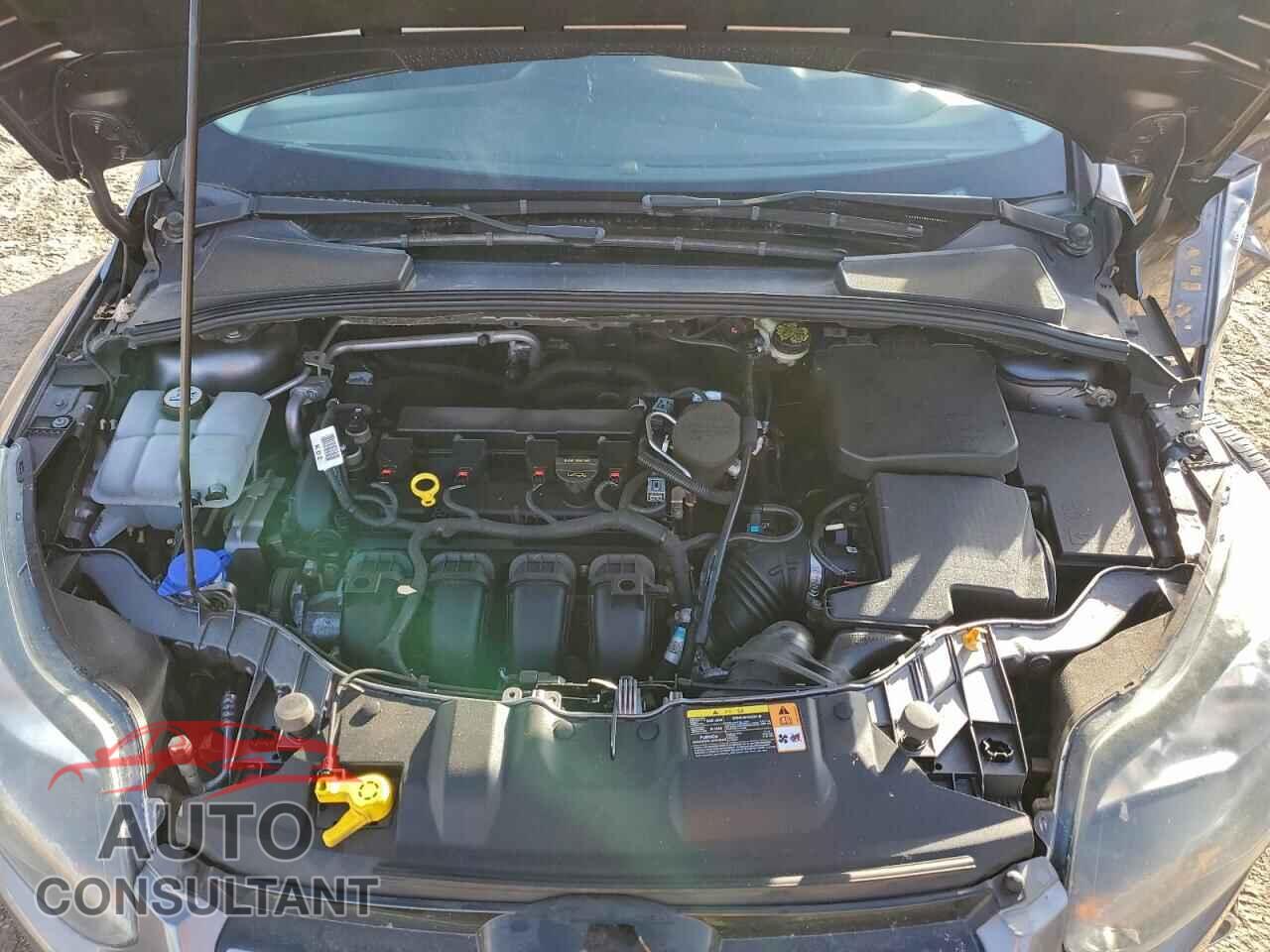 FORD FOCUS 2013 - 1FADP3N22DL241237