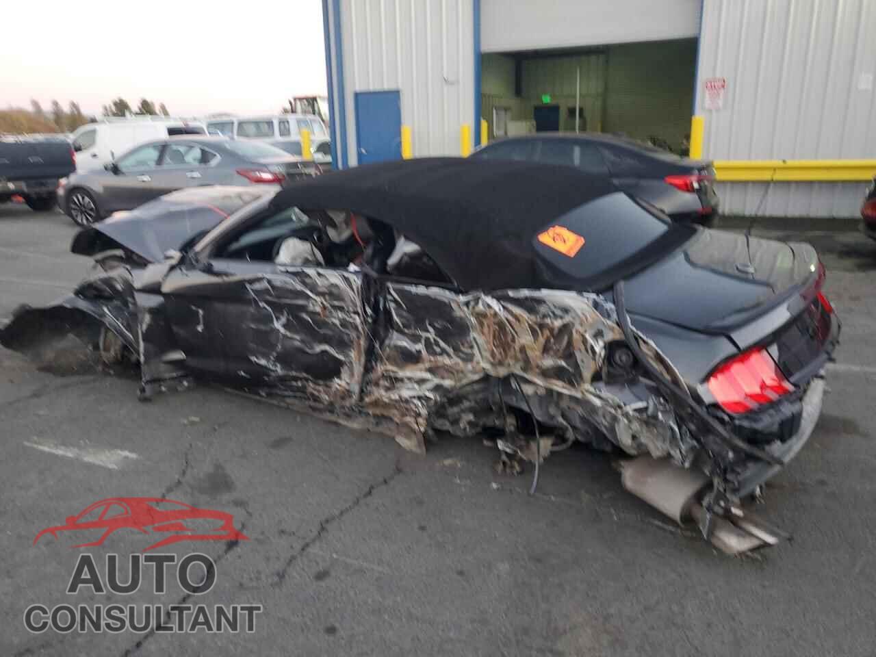 FORD MUSTANG 2019 - 1FATP8FF3K5116890